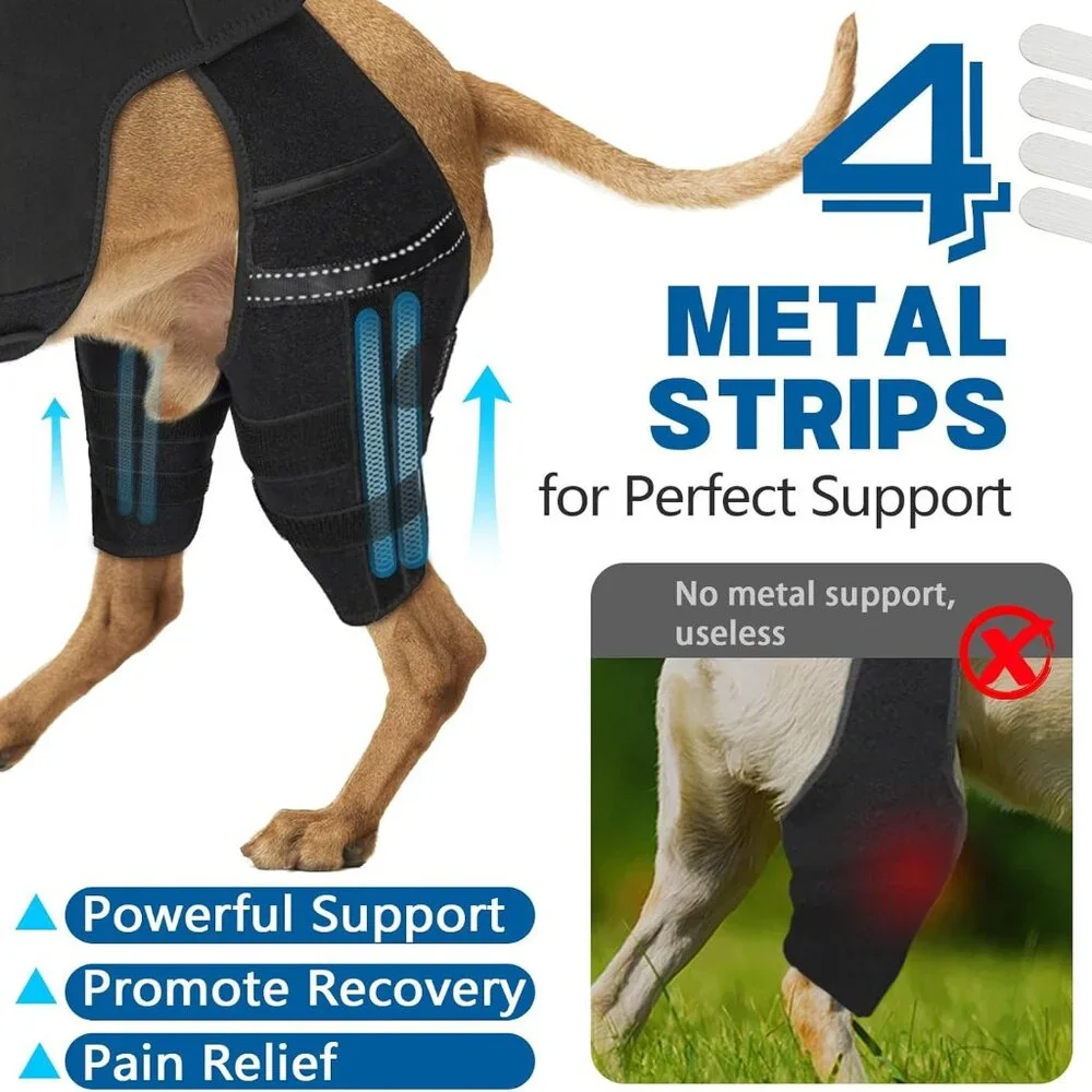 Dog Knee Brace for Torn Acl Hind Leg